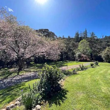 Coromandel Secluded Log Cabin Retreat Hikuai Exterior foto
