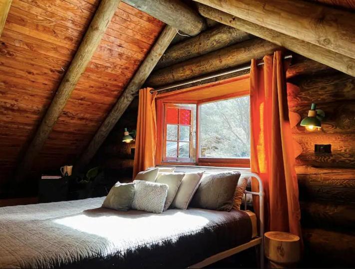 Coromandel Secluded Log Cabin Retreat Hikuai Exterior foto